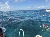 Great day of scuba diving in Key Largo with Rainbow Reef on christ statue tropical serenity 2025 11 26 r19258 1