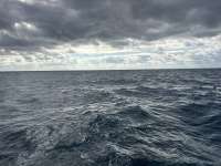 Great day of scuba diving in Key Largo with Rainbow Reef on eagle ray alley tropical legend 2025 11 18 r19217 1