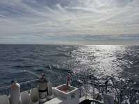 Great day of scuba diving in Key Largo with Rainbow Reef on eagle ray alley tropical serenity 2025 11 11 r19189 1