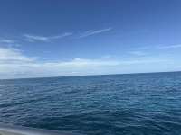 Great day of scuba diving in Key Largo with Rainbow Reef on elbow reef tropical odyssey 2025 11 07 r19168 1