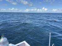 Great day of scuba diving in Key Largo with Rainbow Reef on french reef tropical legend 2025 11 09 r19180 1