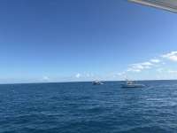 Great day of scuba diving in Key Largo with Rainbow Reef on jjs cave tropical serenity 2025 11 08 r19170 1