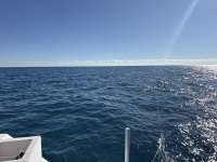 Great day of scuba diving in Key Largo with Rainbow Reef on molasses reef tropical legend 2025 11 17 r19213 1