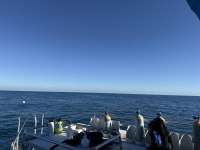 Great day of scuba diving in Key Largo with Rainbow Reef on molasses reef tropical legend 2025 11 17 r19215 1