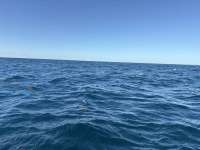 Great day of scuba diving in Key Largo with Rainbow Reef on nine channel tropical legend 2025 11 15 r19202 1