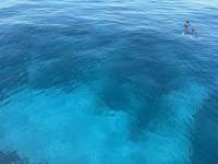 Great day of scuba diving in Key Largo with Rainbow Reef on nine channel tropical legend 2025 11 16 r19209 1