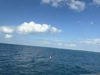 Great day of scuba diving in Key Largo with Rainbow Reef on nine channel tropical legend 2025 11 24 r19245 1