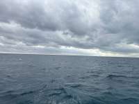 Great day of scuba diving in Key Largo with Rainbow Reef on north star tropical legend 2025 11 18 r19219 1