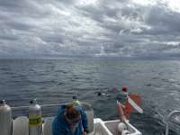 Great day of scuba diving in Key Largo with Rainbow Reef on snapper ledge tropical serenity 2025 11 02 r19143 1