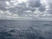 Great day of scuba diving in Key Largo with Rainbow Reef on spiegel grove tropical odyssey 2025 11 12 r19192 1