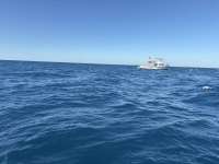 Great day of scuba diving in Key Largo with Rainbow Reef on spiegel grove tropical serenity 2025 11 23 r19239 1