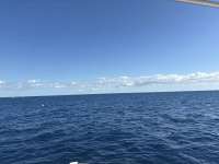 Great day of scuba diving in Key Largo with Rainbow Reef on uscgc duane tropical legend 2025 11 16 r19207 1