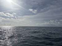 Great day of scuba diving in Key Largo with Rainbow Reef on benwood wreck tropical legend 2025 10 05 r19008 1