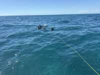 Great day of scuba diving in Key Largo with Rainbow Reef on benwood wreck tropical legend 2025 10 22 r19123 1