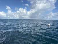 Great day of scuba diving in Key Largo with Rainbow Reef on benwood wreck tropical odyssey 2025 10 07 r19030 1