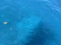 Great day of scuba diving in Key Largo with Rainbow Reef on benwood wreck tropical serenity 2025 10 12 r19069 1