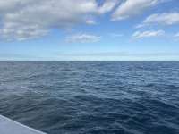 Great day of scuba diving in Key Largo with Rainbow Reef on benwood wreck tropical serenity 2025 10 15 r19087 1