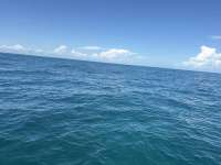 Great day of scuba diving in Key Largo with Rainbow Reef on benwood wreck tropical serenity 2025 10 20 r19112 1