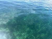 Great day of scuba diving in Key Largo with Rainbow Reef on christ statue tropical odyssey 2025 10 06 r19022 1