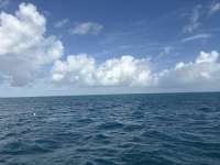 Great day of scuba diving in Key Largo with Rainbow Reef on coral canyons tropical legend 2025 10 04 r19000 1