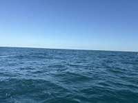 Great day of scuba diving in Key Largo with Rainbow Reef on crf nursery tropical adventure 2025 10 21 r19115 1