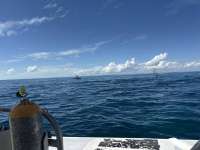Great day of scuba diving in Key Largo with Rainbow Reef on eagle ray alley tropical legend 2025 10 12 r19070 1