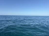 Great day of scuba diving in Key Largo with Rainbow Reef on elbow reef tropical legend 2025 10 01 r18976 1