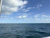 Great day of scuba diving in Key Largo with Rainbow Reef on fire coral cave tropical legend 2025 10 18 r19100 1