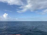 Great day of scuba diving in Key Largo with Rainbow Reef on jjs cave tropical serenity 2025 10 20 r19111 1