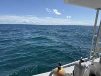 Great day of scuba diving in Key Largo with Rainbow Reef on snapper ledge tropical legend 2025 10 13 r19077 1