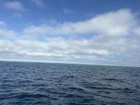 Great day of scuba diving in Key Largo with Rainbow Reef on spanish anchor tropical serenity 2025 10 12 r19063 1