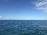 Great day of scuba diving in Key Largo with Rainbow Reef on special event tropical legend 2025 10 02 r18984 1