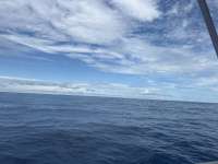 Great day of scuba diving in Key Largo with Rainbow Reef on spiegel grove tropical destiny 2025 10 11 r19055 1