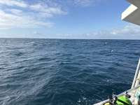 Great day of scuba diving in Key Largo with Rainbow Reef on spiegel grove tropical legend 2025 10 17 r19097 1