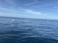 Great day of scuba diving in Key Largo with Rainbow Reef on spiegel grove tropical odyssey 2025 10 06 r19019 1