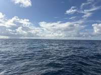 Great day of scuba diving in Key Largo with Rainbow Reef on spiegel grove tropical odyssey 2025 10 07 r19029 1