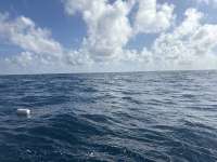 Great day of scuba diving in Key Largo with Rainbow Reef on spiegel grove tropical odyssey 2025 10 27 r19129 1