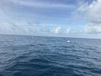Great day of scuba diving in Key Largo with Rainbow Reef on spiegel grove tropical odyssey 2025 10 28 r19132 1