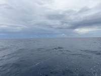 Great day of scuba diving in Key Largo with Rainbow Reef on uscgc duane tropical destiny 2025 10 11 r19053 1