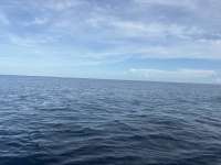 Great day of scuba diving in Key Largo with Rainbow Reef on uscgc duane tropical odyssey 2025 10 06 r19016 1