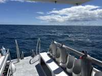 Great day of scuba diving in Key Largo with Rainbow Reef on benwood wreck tropical destiny 2025 09 29 r18961 1