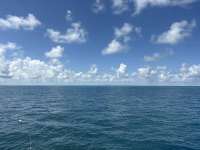 Great day of scuba diving in Key Largo with Rainbow Reef on benwood wreck tropical legend 2025 09 26 r18942 1