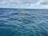 Great day of scuba diving in Key Largo with Rainbow Reef on benwood wreck tropical legend 2025 09 28 r18953 1