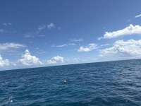 Great day of scuba diving in Key Largo with Rainbow Reef on christ statue tropical destiny 2025 09 28 r18957 1