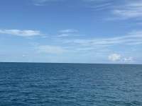 Great day of scuba diving in Key Largo with Rainbow Reef on christ statue tropical odyssey 2025 09 19 r18856 1