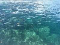 Great day of scuba diving in Key Largo with Rainbow Reef on christ statue tropical odyssey 2025 09 25 r18917 1