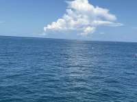 Great day of scuba diving in Key Largo with Rainbow Reef on city of washington tropical odyssey 2025 09 25 r18913 1