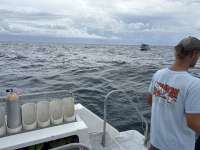 Great day of scuba diving in Key Largo with Rainbow Reef on coral canyons tropical destiny 2025 09 17 r18838 1