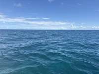 Great day of scuba diving in Key Largo with Rainbow Reef on coral canyons tropical destiny 2025 09 20 r18862 1
