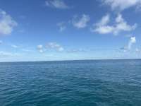 Great day of scuba diving in Key Largo with Rainbow Reef on crf nursery tropical adventure 2025 09 11 r18847 1